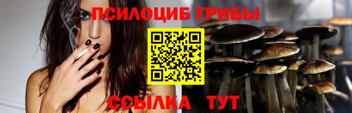 Барнаул  купить наркотики цена  Вход с VPN  Галлюциногенные грибы мухоморы 